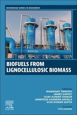 Manikant Tripathi, James Gaffey, Vijay Kumar Thakur, Amritesh Chandra Shukla, Vijai Kumar Gupta - Biofuels from Lignocellulosic Materials, Häftad