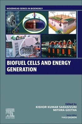 bokomslag Biofuel Cells and Energy Generation