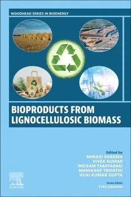 Minaxi Sharma, Vivek Kumar, Meisam Tabatabaei, Manikant Tripathi, Vijai Kumar Gupta - Bioproducts from Lignocellulosic Biomass, Häftad