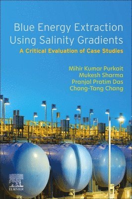 bokomslag Blue Energy Extraction Using Salinity  Gradients