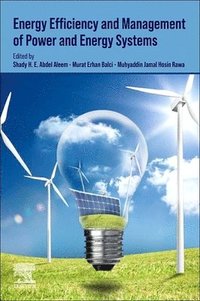 bokomslag Energy Efficiency of Modern Power and Energy Systems