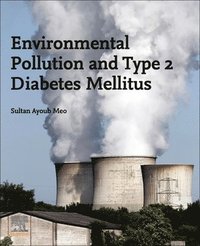 bokomslag Environmental Pollution and Type 2 Diabetes Mellitus