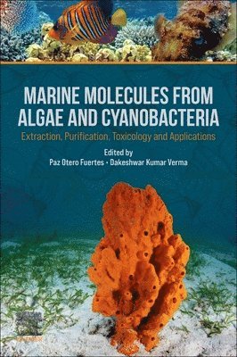 Paz Otero Fuertes, Dakeshwar Kumar Verma - Marine Molecules from Algae and Cyanobacteria, Häftad