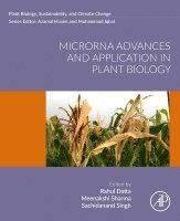Rahul Datta, Meenakshi Sharma, Sachidanand Singh - MicroRNA Advances and Application in Plant Biology, Häftad