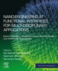 bokomslag Nano-Engineering at Functional Interfaces for Multidisciplinary Applications