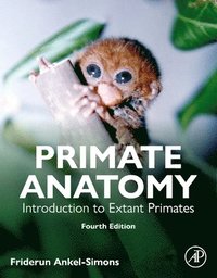 bokomslag Primate Anatomy