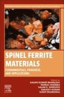 bokomslag Spinel Ferrite Materials