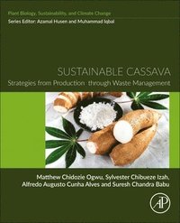 bokomslag Sustainable Cassava