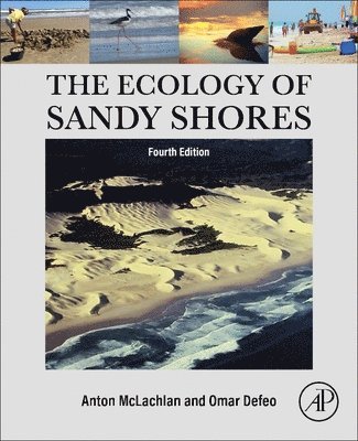 Omar Defeo, Anton McLachlan, Uruguay) Defeo, Omar (Faculty of Sciences, Montevideo, South Africa) McLachlan, Anton (Nelson Mandela Metropolitan University, Defeo,Oma - The Ecology of Sandy Shores, Häftad