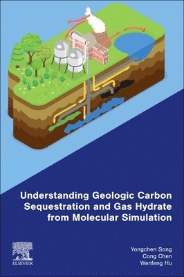 bokomslag Understanding Geologic Carbon Sequestration and Gas Hydrate from Molecular Simulation