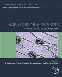 bokomslag Non-coding RNA in Plants
