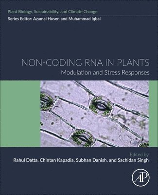 Non-coding RNA in Plants 1
