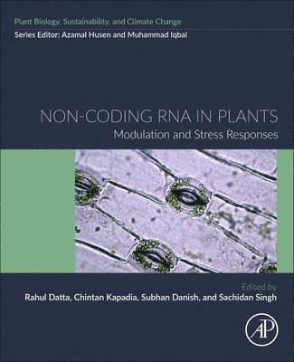 Non-coding RNA in Plants 1