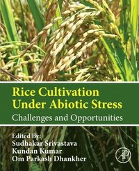 bokomslag Rice Cultivation Under Abiotic Stress