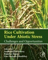 Srivastava,Sudhaka, Sudhakar Srivastava, Kundan Kumar, Om Parkash Dhankher - Rice Cultivation Under Abiotic Stress, Häftad