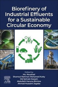 bokomslag Biorefinery of Industrial Effluents for a Sustainable Circular Economy
