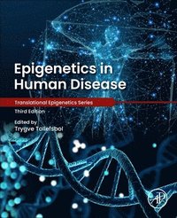 bokomslag Epigenetics in Human Disease