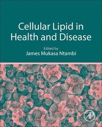 bokomslag Cellular Lipid in Health and Disease