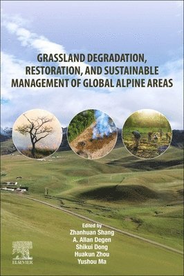 bokomslag Grassland Degradation, Restoration, and Sustainable Management of Global Alpine Areas