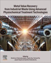 bokomslag Metal Value Recovery from Industrial Waste Using Advanced Physicochemical Treatment Technologies