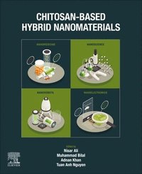 bokomslag Chitosan-Based Hybrid Nanomaterials