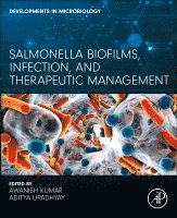 bokomslag Salmonella Biofilms, Infection, and Therapeutic Management