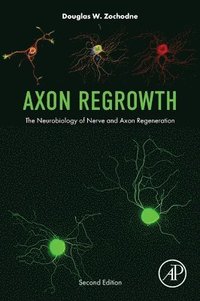 bokomslag Axon Regrowth