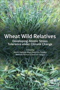 bokomslag Wheat Wild Relatives