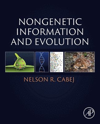 bokomslag Nongenetic Information and Evolution