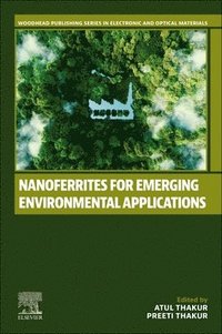 bokomslag Nanoferrites for Emerging Environmental Applications