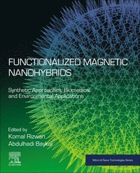 bokomslag Functionalized Magnetic Nanohybrids