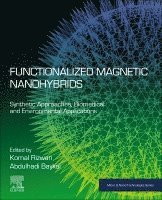 Rizwan,Koma, Komal Rizwan, Abdulhadi Baykal - Functionalized Magnetic Nanohybrids, Häftad