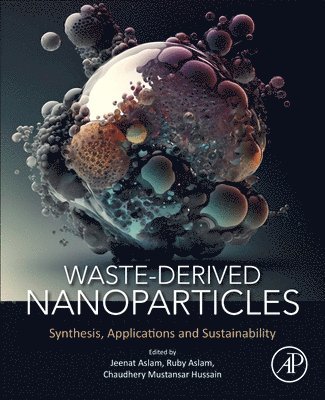 Waste-Derived Nanoparticles 1