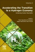 Kurniawan,Tonni Agustion, Tonni Agustiono Kurniawan, Majeti Narasimha Vara Prasad - Accelerating the Transition to a Hydrogen Economy, Häftad