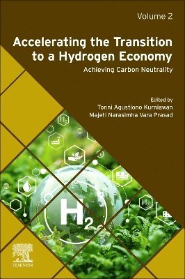 Accelerating the Transition to a Hydrogen Economy 1