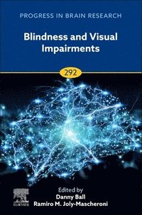 bokomslag Blindness and Visual Impairments