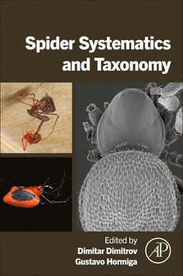 bokomslag Spider Systematics and Taxonomy