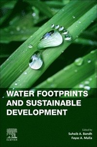 bokomslag Water Footprints and Sustainable Development