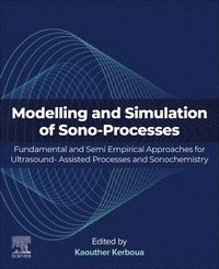 bokomslag Modeling and Simulation of Sono-Processes