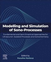 bokomslag Modeling and Simulation of Sono-Processes