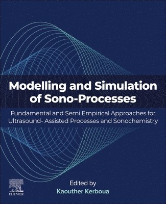 bokomslag Modelling and Simulation of Sono-Processes