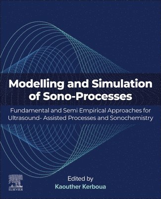 Modeling and Simulation of Sono-Processes