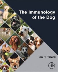 bokomslag The Immunology of the Dog
