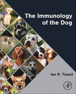bokomslag Immunology of the Dog