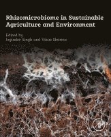 Joginder Singh Panwar, Vikas Sharma - Rhizomicrobiome in Sustainable Agriculture and Environment, Häftad