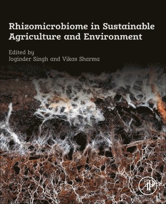 bokomslag Rhizomicrobiome in Sustainable Agriculture and Environment