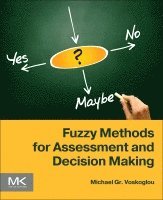 Michael Gr. Voskoglou, Michael Gr Voskoglou - Fuzzy Methods for Assessment and Decision Making, Häftad