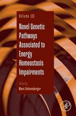 bokomslag Novel Genetic Pathways Associated to Energy Homeostasis Impairments
