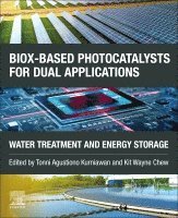 Tonni Agustiono Kurniawan, Kit Wayne Chew - BiOX-based Photocatalysts for Dual Applications, Häftad