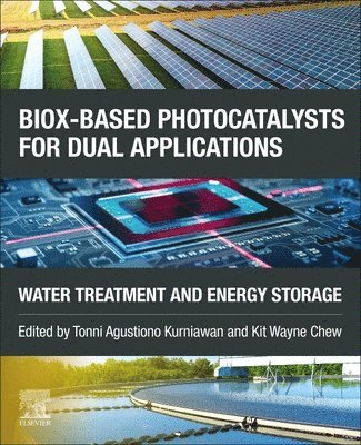 bokomslag BiOX-based Photocatalysts for Dual Applications